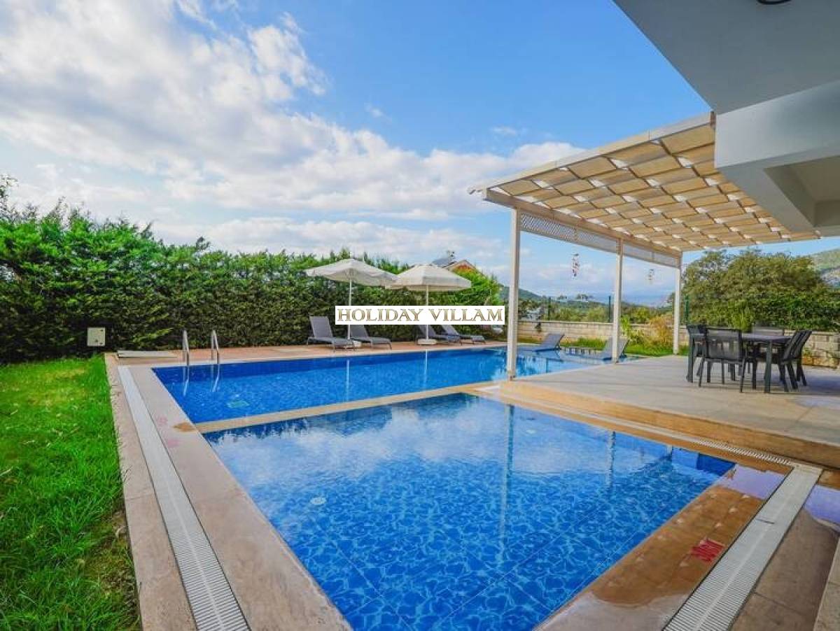 Pelit Villa - Resim #1