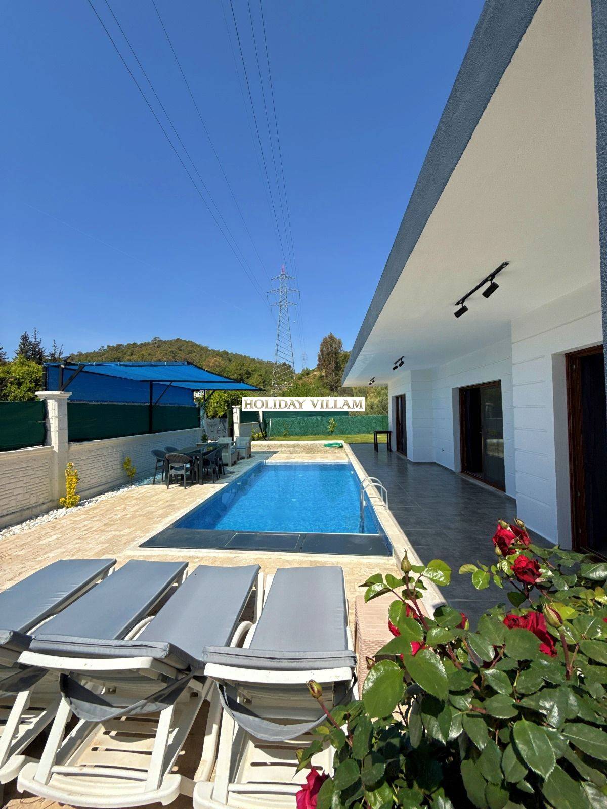 Portakal Çiçeği - Resim #1